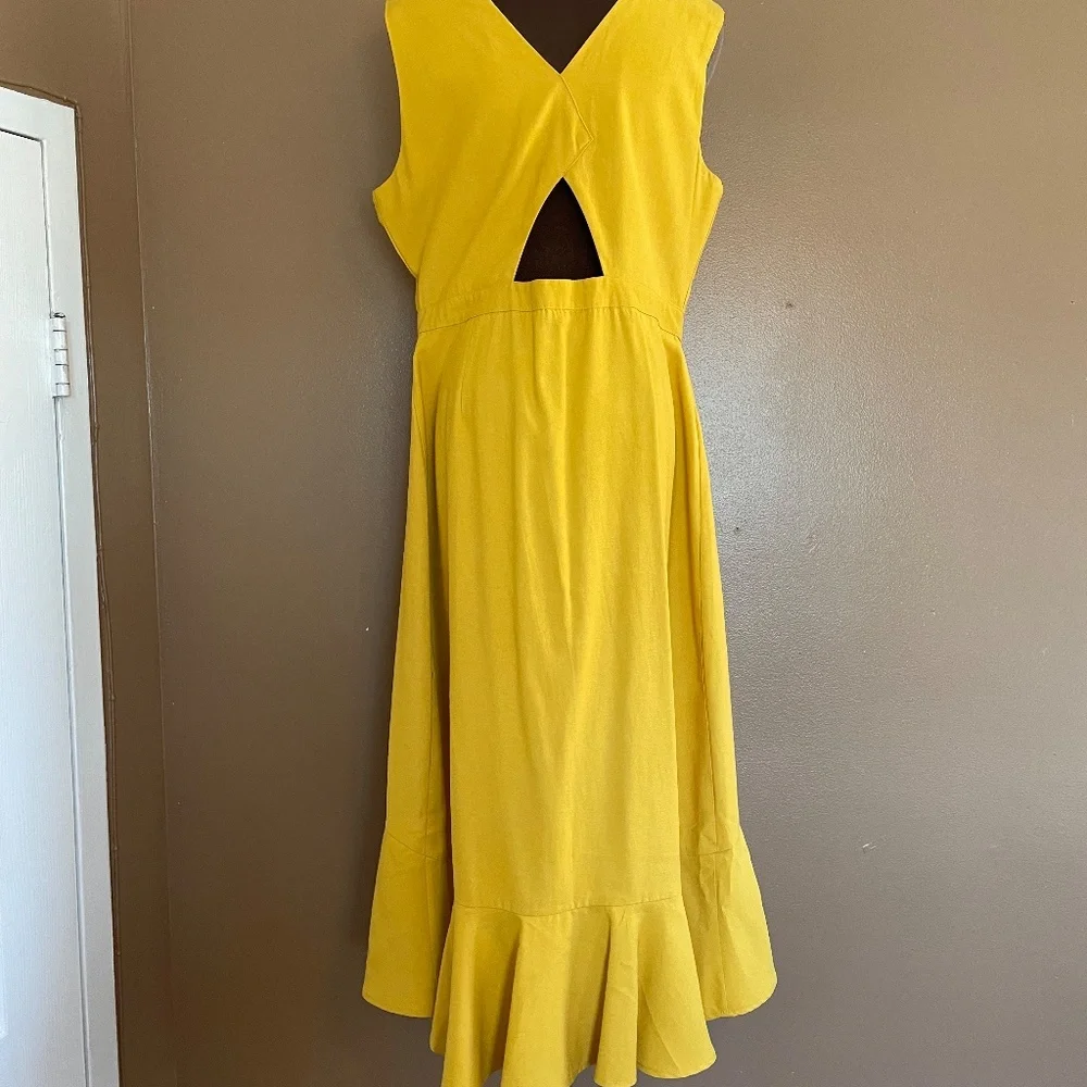 When We First Met Midi Dress - Picture 4 of 11